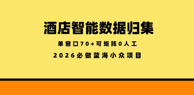 酒店智能数据归集，小众蓝海已经稳定半年之久，单窗口70+零成本矩阵开干【揭秘】-灰产星球