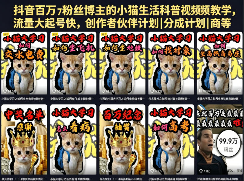 抖音百万粉丝博主的小猫生活科普视频教学，流量大起号快，创作者伙伴计划|分成计划|商单|收徒等-灰产星球