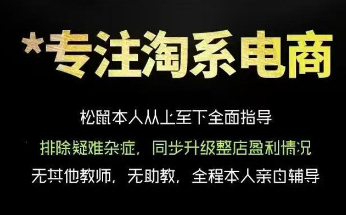 松鼠会电商VIP课程，从基础布局到高阶优化，助你掌握淘宝运营逻辑，提升店铺流量与转化（更新0711）-灰产星球