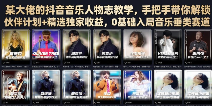 某大佬的抖音音乐人物志教学，手把手带你解锁伙伴计划+精选独家收益，0基础入局音乐垂类赛道-灰产星球